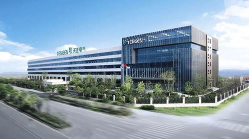 溫州再添一家上市公司 柳市電氣 三巨頭 會師證券資本市場