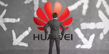 王峰評(píng)論馮鑫 等他出來喝酒 科創(chuàng)板首周運(yùn)行平穩(wěn),總市值超5000億元 哪吒之魔童降世 首周票房破7億